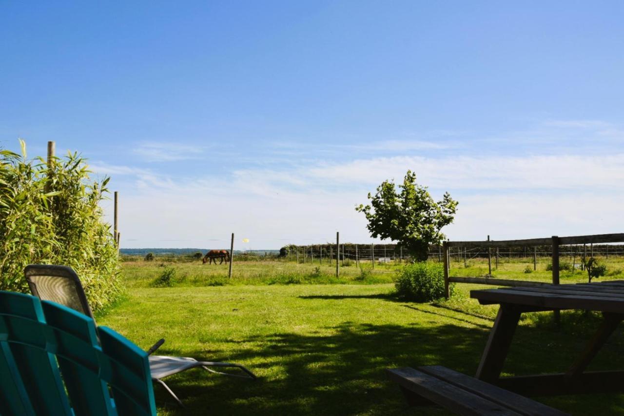 Le Clos de l'Angley Gîtes et pension équestre Caffiers Extérieur photo