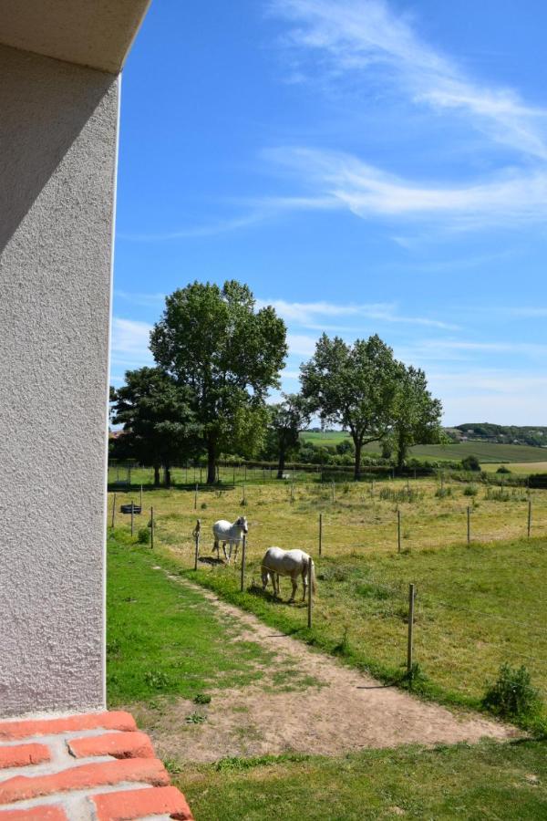 Le Clos de l'Angley Gîtes et pension équestre Caffiers Extérieur photo