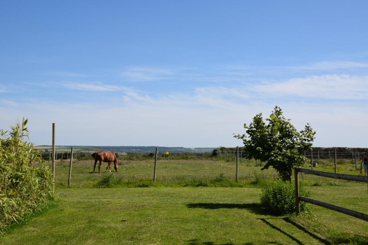 Le Clos de l'Angley Gîtes et pension équestre Caffiers Extérieur photo