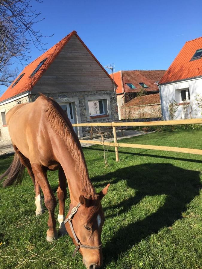 Le Clos de l'Angley Gîtes et pension équestre Caffiers Extérieur photo