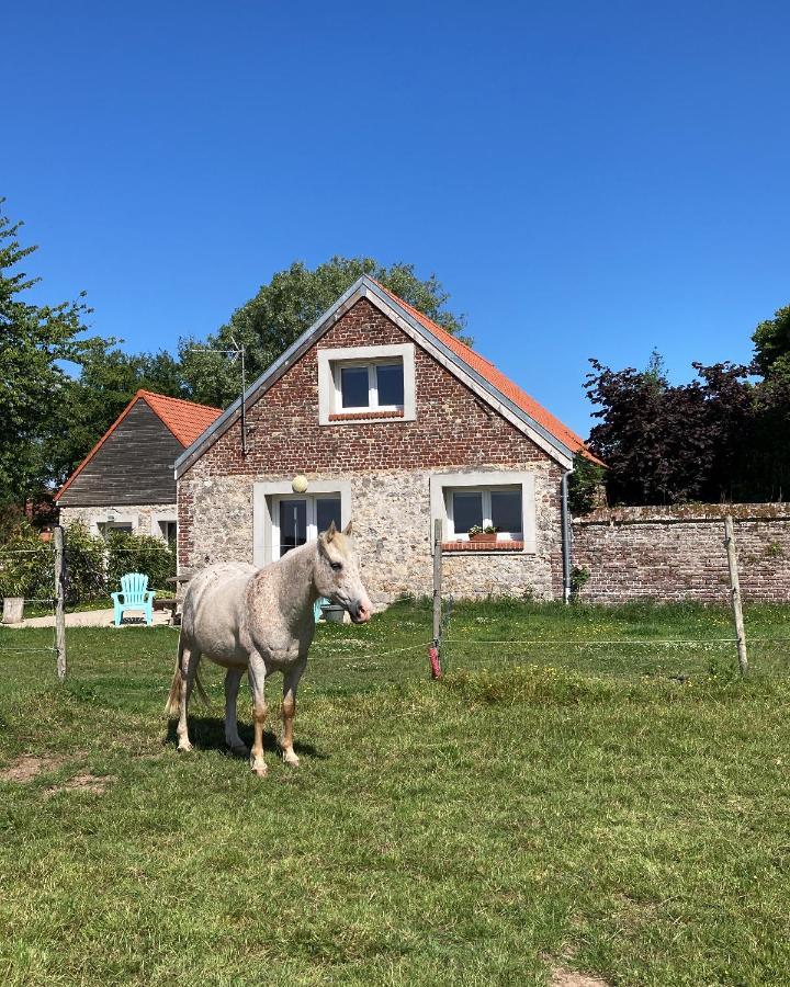 Le Clos de l'Angley Gîtes et pension équestre Caffiers Extérieur photo