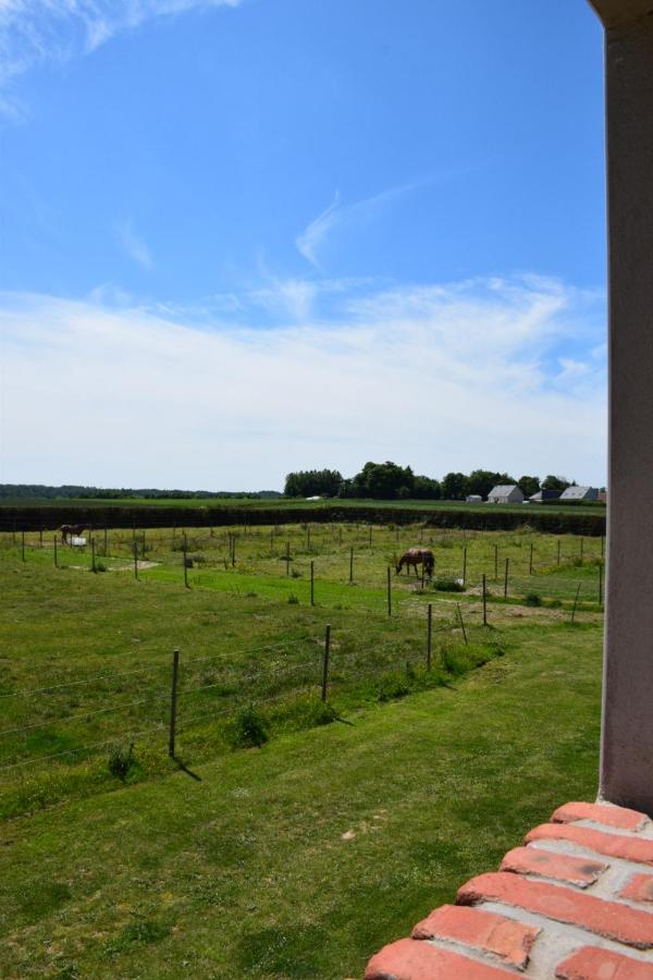 Le Clos de l'Angley Gîtes et pension équestre Caffiers Extérieur photo