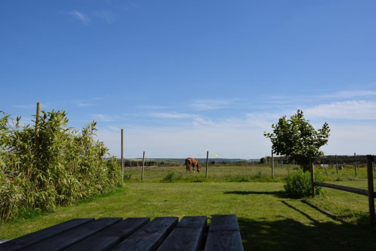 Le Clos de l'Angley Gîtes et pension équestre Caffiers Extérieur photo
