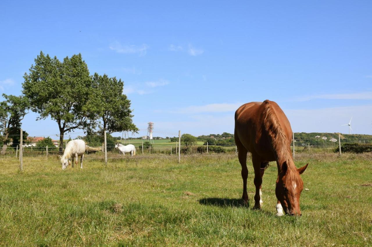 Le Clos de l'Angley Gîtes et pension équestre Caffiers Extérieur photo