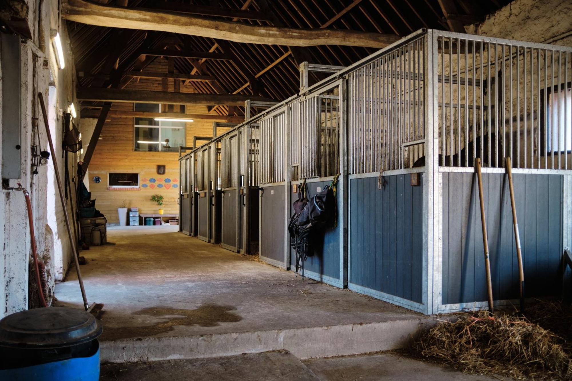 Le Clos de l'Angley Gîtes et pension équestre Caffiers Extérieur photo