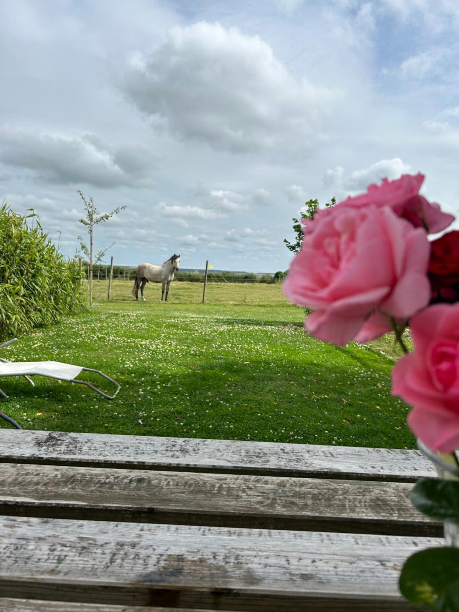 Le Clos de l'Angley Gîtes et pension équestre Caffiers Extérieur photo