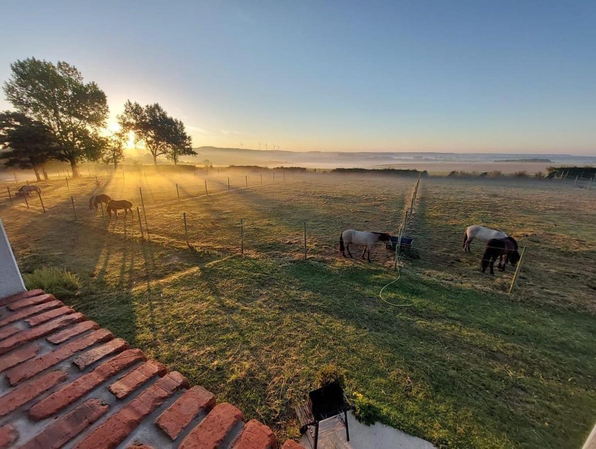 Le Clos de l'Angley Gîtes et pension équestre Caffiers Extérieur photo